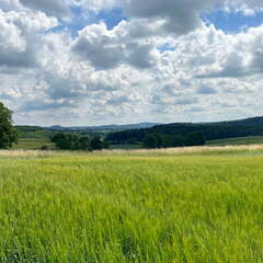 22-06-06 11-20-38 1053